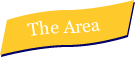 the area
