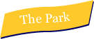 the park